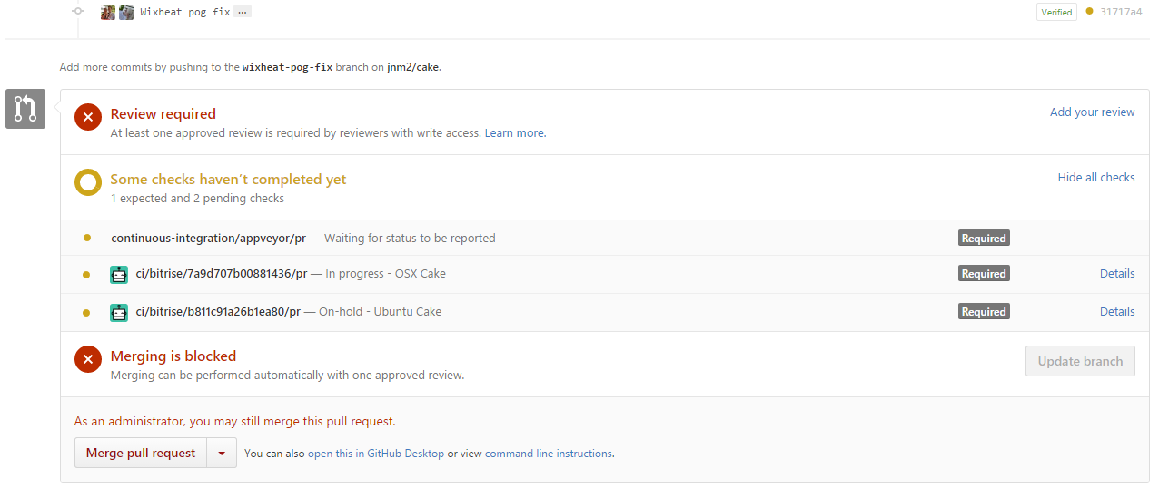 git push force