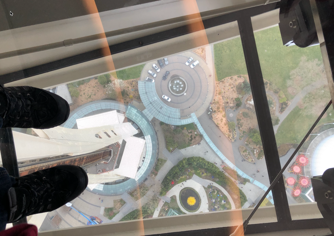 Looking Down