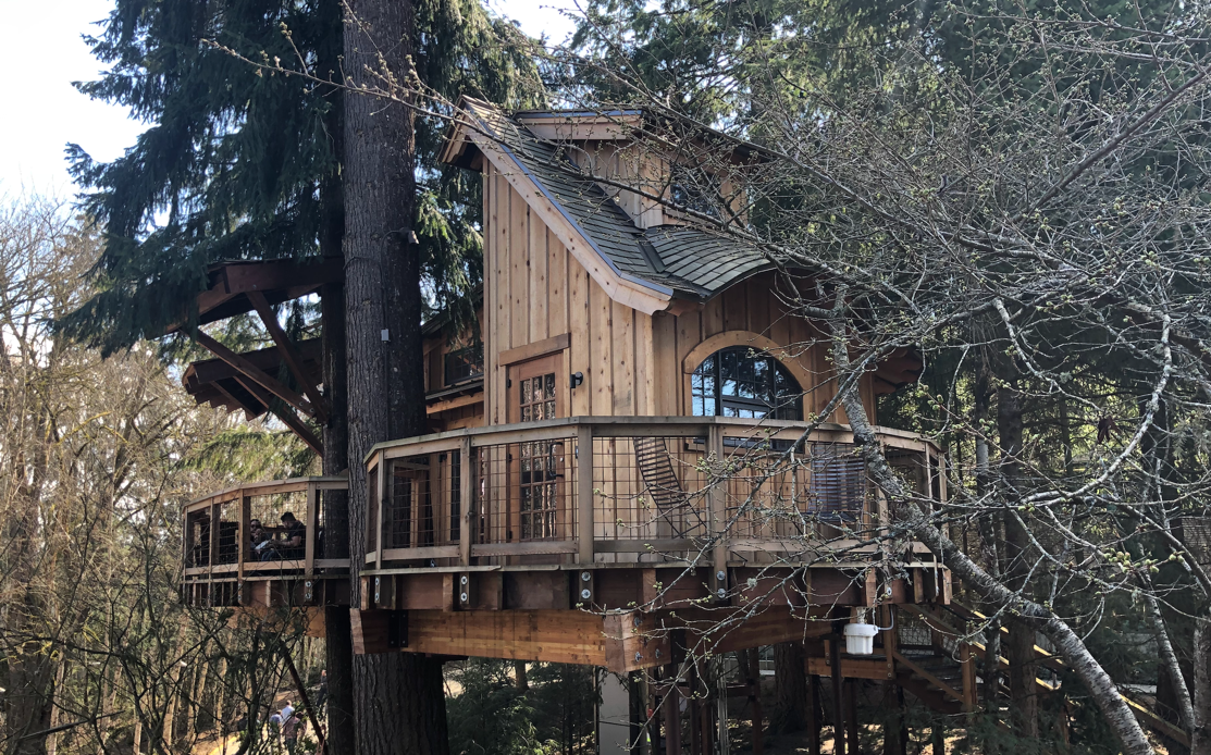 Microsoft-Treehouse