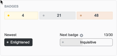 Stack Overflow Badges